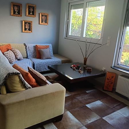 Appartement Lefkothea'S House à Athènes Extérieur photo